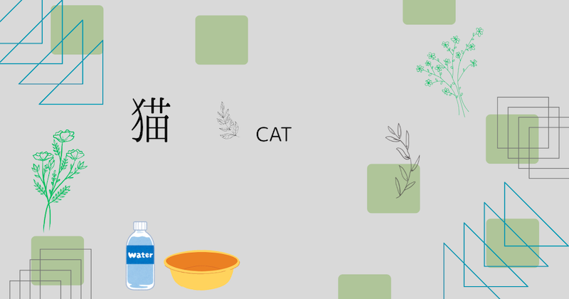 猫の熱中症対策、この暑い夏を乗り切る工夫
