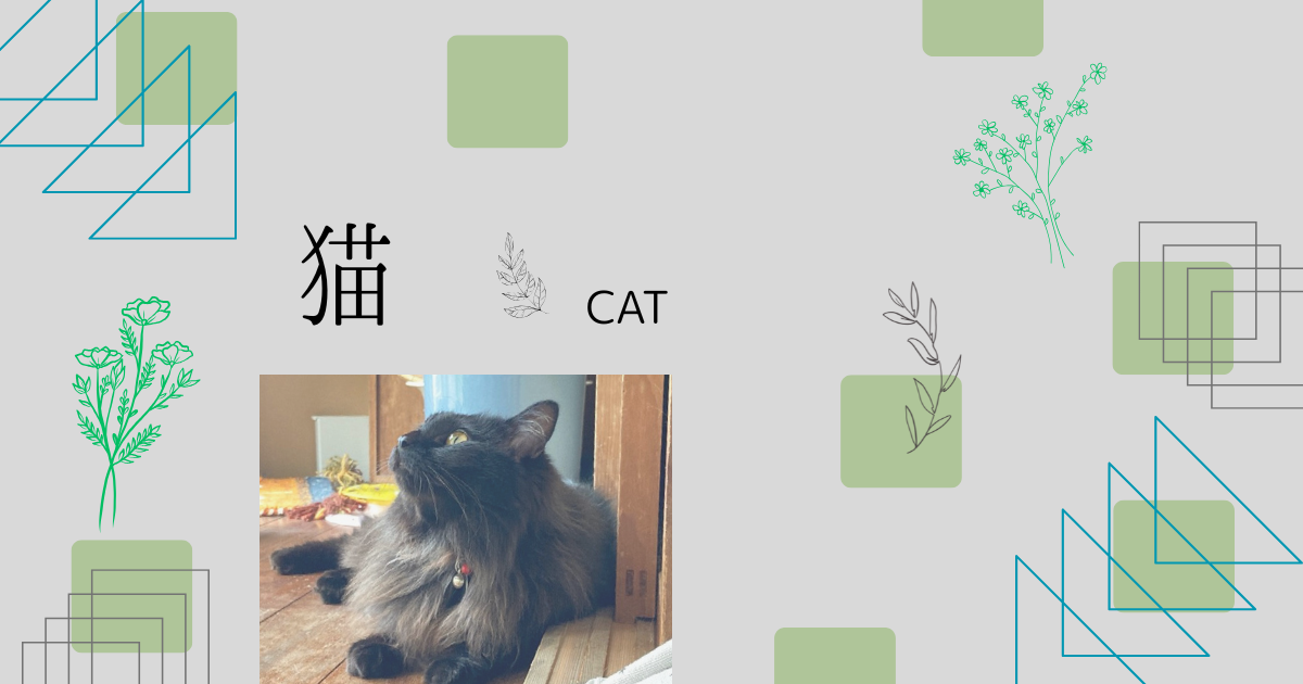 保護猫と暮らす前に準備したい　　　　　　　　　　　　　　　　　　　　猫の暮らしに必要な道具は？